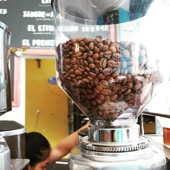 Molino de espresso lleno de granos de café en la barra